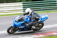 Lower Group Blue Bikes
